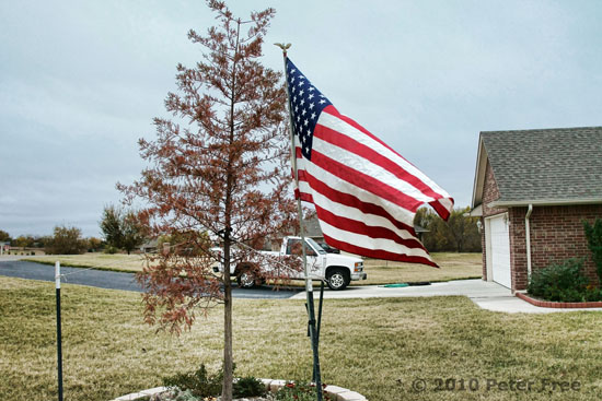 Picture of Veterans Day U.S. flag in flower bed.